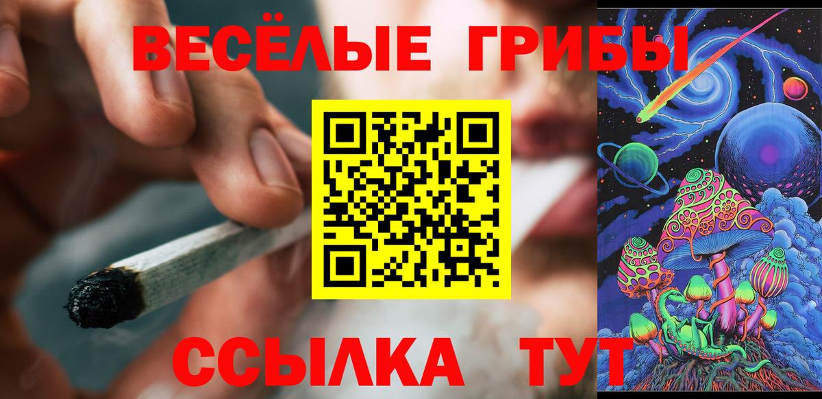 Псилоцибиновые грибы мицелий Малгобек