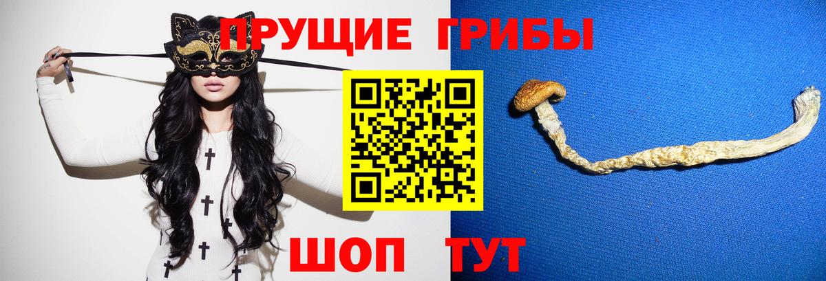 Малгобек  Галлюциногенные грибы Cubensis  Вход с VPN  наркошоп  Псилоцибиновые грибы Cubensis 