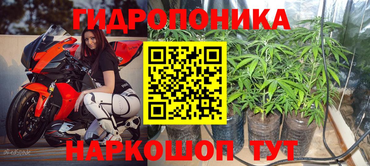 Конопля THC 21% Малгобек